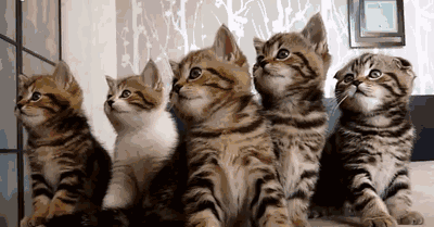 大叔痴迷女主播打赏77万,妻子告上法庭!该不该返款?