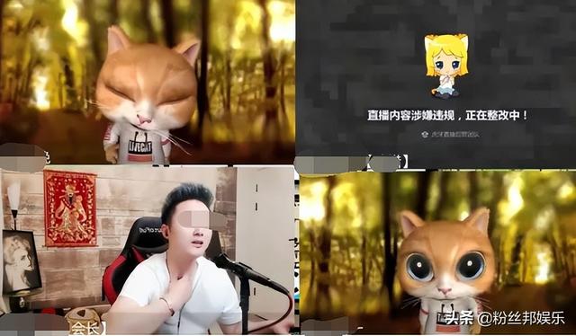 女主播深夜低俗表演,某牙直播被罚2万,网友调侃这广告成本真低