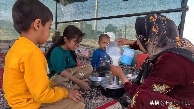 伊朗法院的误判？米娜与前夫的较量背后，孩子们的命运何去何从？