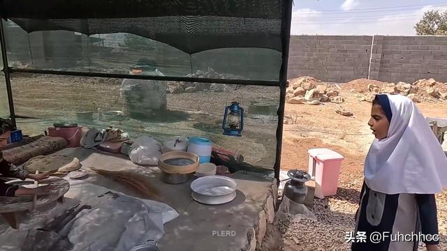 伊朗法院的误判？米娜与前夫的较量背后，孩子们的命运何去何从？