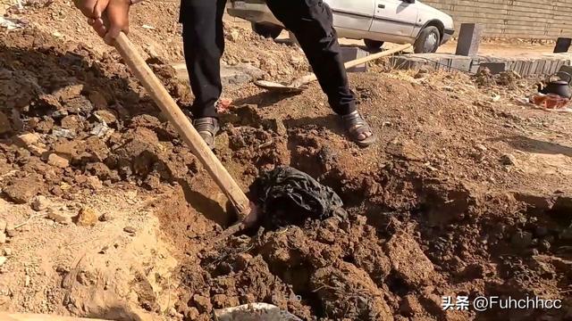 伊朗法院的误判？米娜与前夫的较量背后，孩子们的命运何去何从？