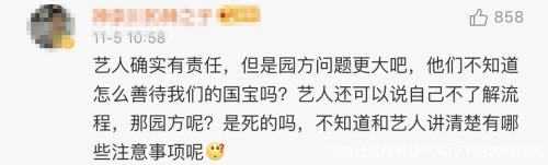 韩国女团BLACKPINK不戴口罩手套摸熊猫，中国网友怒了