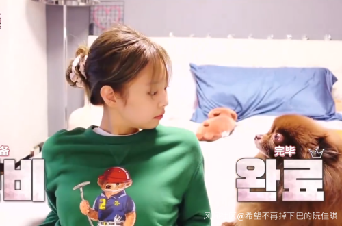 韩国女团BLACKPINK不戴口罩手套摸熊猫，中国网友怒了