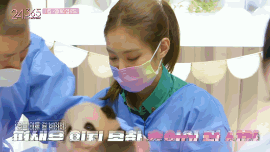 韩国女团BLACKPINK不戴口罩手套摸熊猫，中国网友怒了