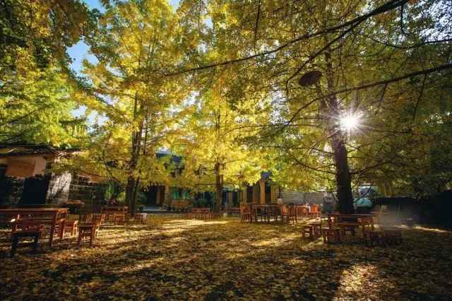 十月,腾冲之秋:去这几个地方 你就能感受到惊艳之美