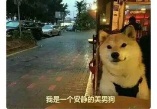 知名游戏解说雪妍公布恋情,起小点哭倒在厕所