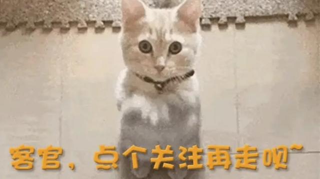 太辣眼！各种孕妇及老年人擦边直播，不忍直视。网友惊呼洗洗眼睛