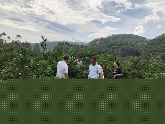 “新农培”走进坂里乡，助推乡村产业兴旺