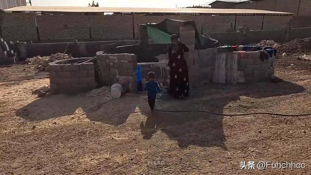 伊朗法院的误判？米娜与前夫的较量背后，孩子们的命运何去何从？