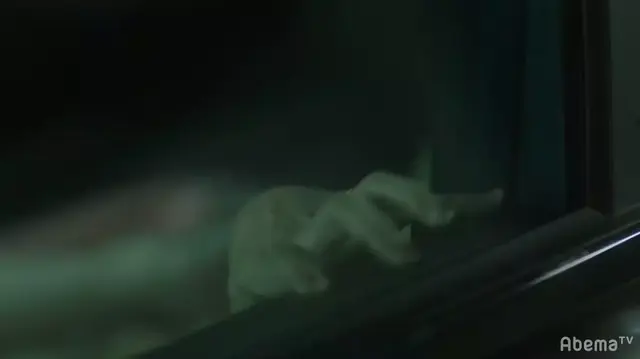 撕开网络直播底裤的电影,反转实在太大了