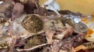 女主播青草第三部(博主直播吃卤羊头时吃出青草，官方通报：属实)