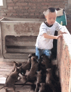 郑凯前女友程晓玥穿紧身裤直播，私处若隐若现，明星也开始擦边