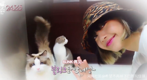 韩国女团BLACKPINK不戴口罩手套摸熊猫，中国网友怒了