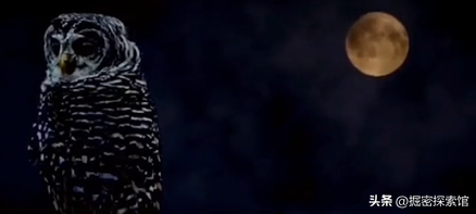 盘点台湾十大实力派女歌手:月亮公主孟庭苇上榜,叶倩文仅排第二