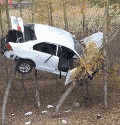 郑凯前女友程晓玥穿紧身裤直播，私处若隐若现，明星也开始擦边