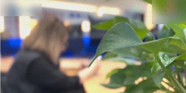 女子爱上纯情男主播,两年打赏1400多万,竟把自己弄到锒铛入狱