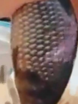 太没下线了!继“黄鳝门”之后再次惊现女主播利用“鲤鱼”GHS!