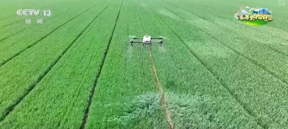 “把脉会诊”助力智慧田管 “数智”良方夺高产 农业焕发新活力