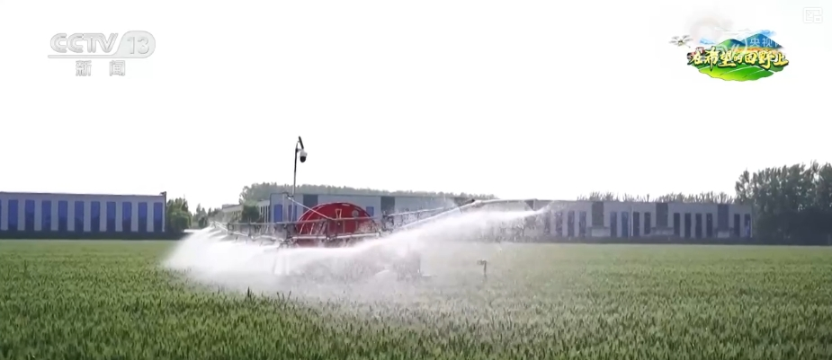 “把脉会诊”助力智慧田管 “数智”良方夺高产 农业焕发新活力