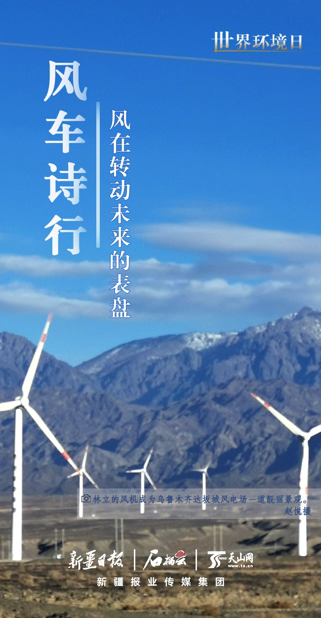 世界环境日丨看新疆的“绿色”答卷