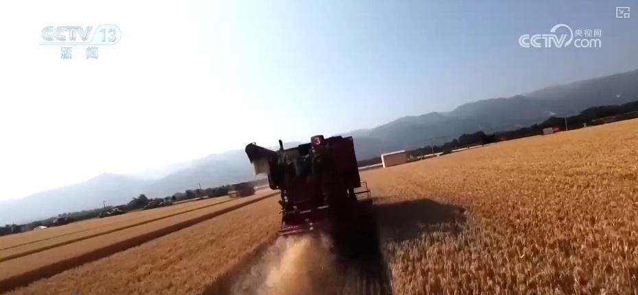 农业“大脑”护航“三夏”跑出加速度 紧盯产粮目标端牢中国人自己饭碗