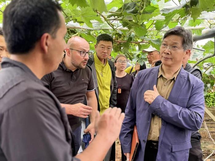 雨润苍洱，智绘农图：拼多多助力数字农业创新训练营以深耕农研初心