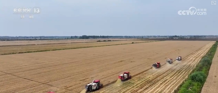 农业“大脑”护航“三夏”跑出加速度 紧盯产粮目标端牢中国人自己饭碗