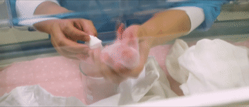 习近平与外国友人的故事|花开满树情常在