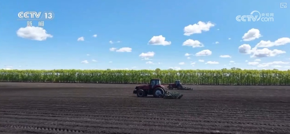 农业“大脑”护航“三夏”跑出加速度 紧盯产粮目标端牢中国人自己饭碗