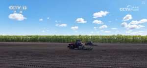 农业“大脑”护航“三夏”跑出加速度 紧盯产粮目标端牢中国人自己饭碗