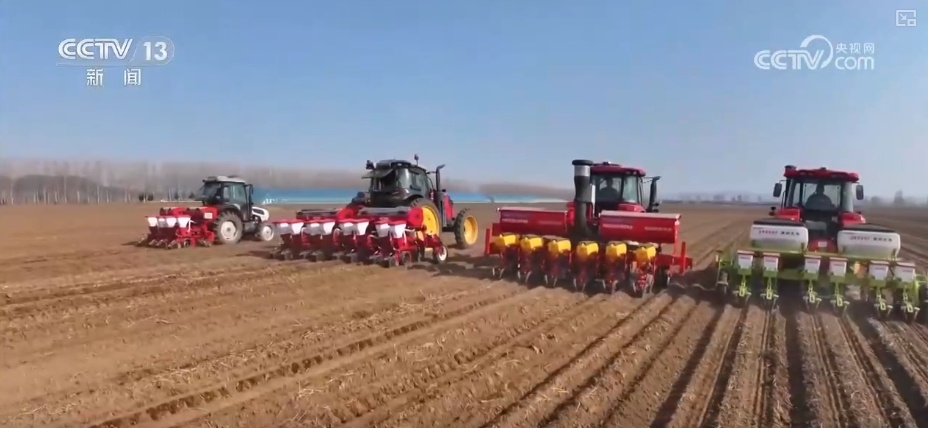 农业“大脑”护航“三夏”跑出加速度 紧盯产粮目标端牢中国人自己饭碗