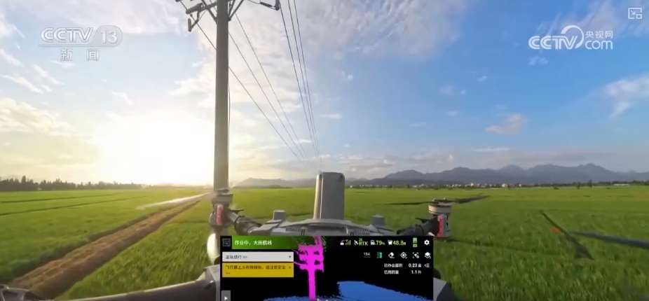 农业“大脑”护航“三夏”跑出加速度 紧盯产粮目标端牢中国人自己饭碗