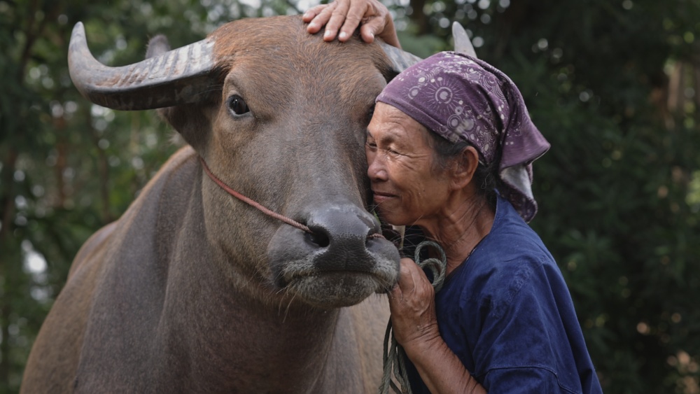微视频｜共建清洁美丽世界
