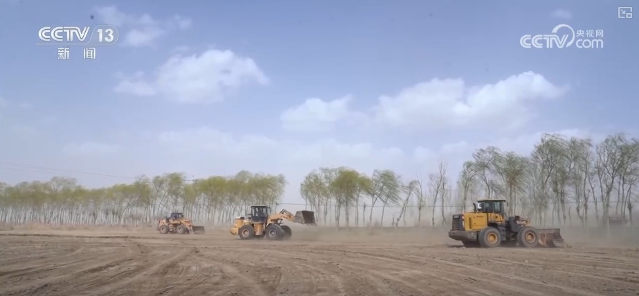 农业“大脑”护航“三夏”跑出加速度 紧盯产粮目标端牢中国人自己饭碗