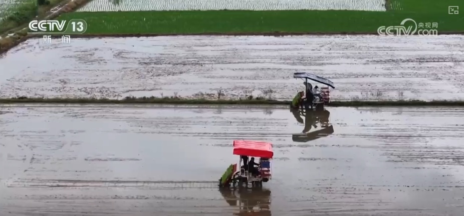 农业“大脑”护航“三夏”跑出加速度 紧盯产粮目标端牢中国人自己饭碗