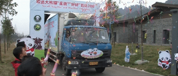 习近平与外国友人的故事|花开满树情常在