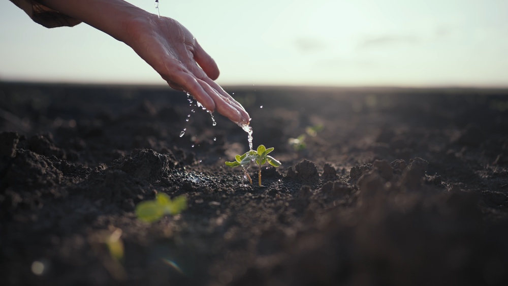 微视频｜共建清洁美丽世界