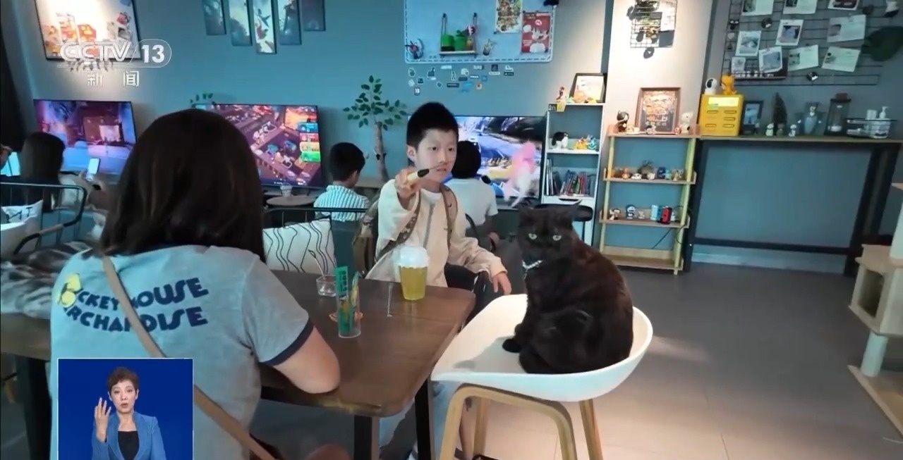 @爱宠人士 出行游玩全升级 快来开启“携宠出行”新体验