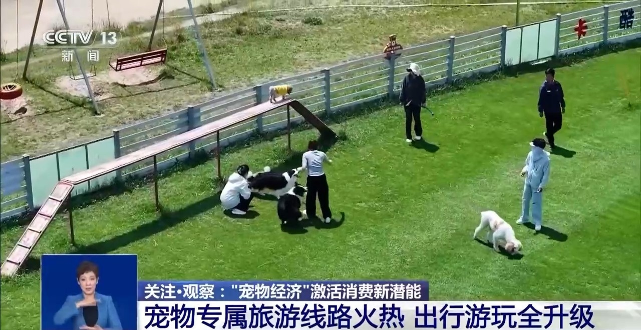 @爱宠人士 出行游玩全升级 快来开启“携宠出行”新体验