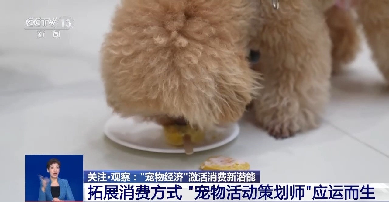 @爱宠人士 出行游玩全升级 快来开启“携宠出行”新体验