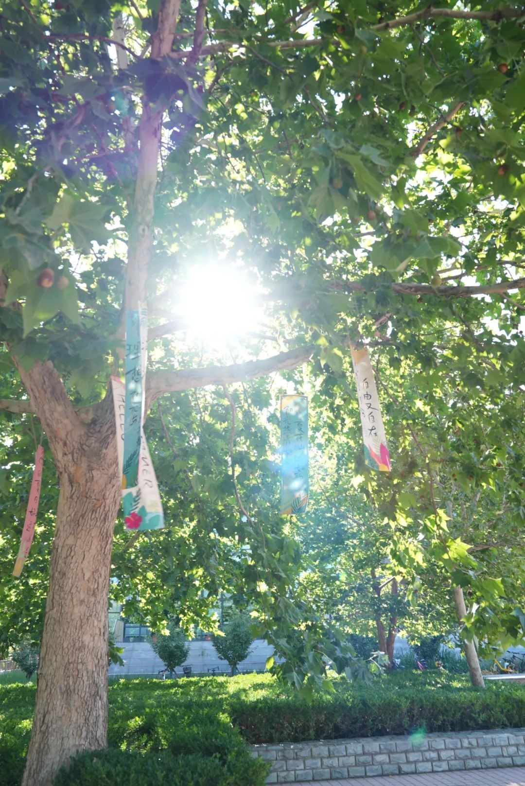 从新燕园出发，一路生花——祝2025届学子毕业快乐！