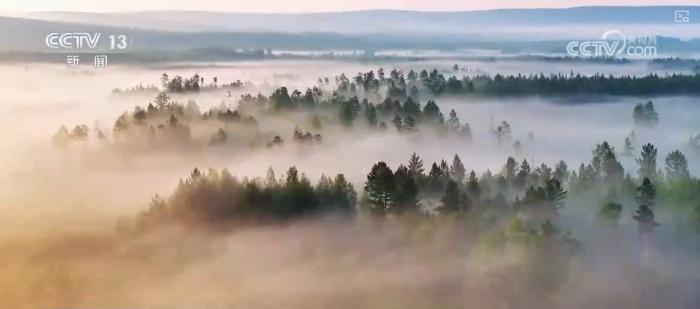 各地妙招频出激发消费潜力 特色“清凉游”带活“避暑经济”