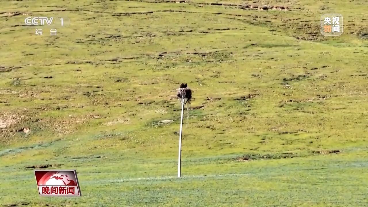 看见美丽中国丨三江源20年蜕变:千湖归来 “中华水塔”焕新生