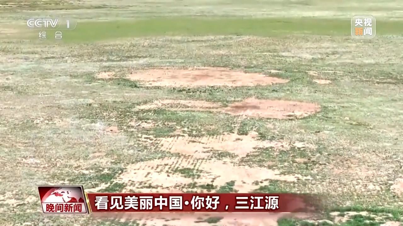 看见美丽中国丨三江源20年蜕变:千湖归来 “中华水塔”焕新生