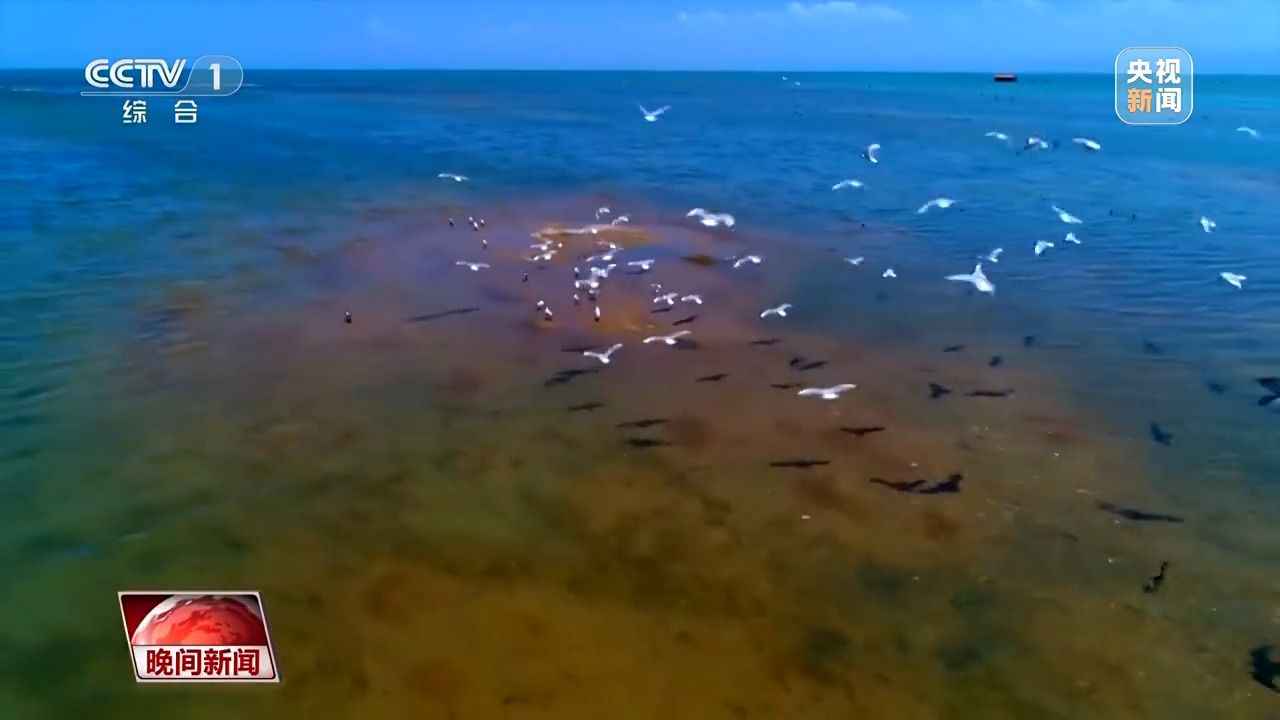 看见美丽中国丨三江源20年蜕变:千湖归来 “中华水塔”焕新生