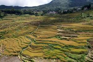 东西问丨里韦拉·埃斯皮诺萨：人类应以何种“新礼”回赠大地？