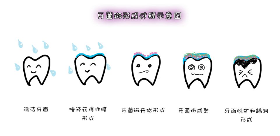 一天中最该刷牙的时刻，偷懒的人危险了！现在知道还不晚