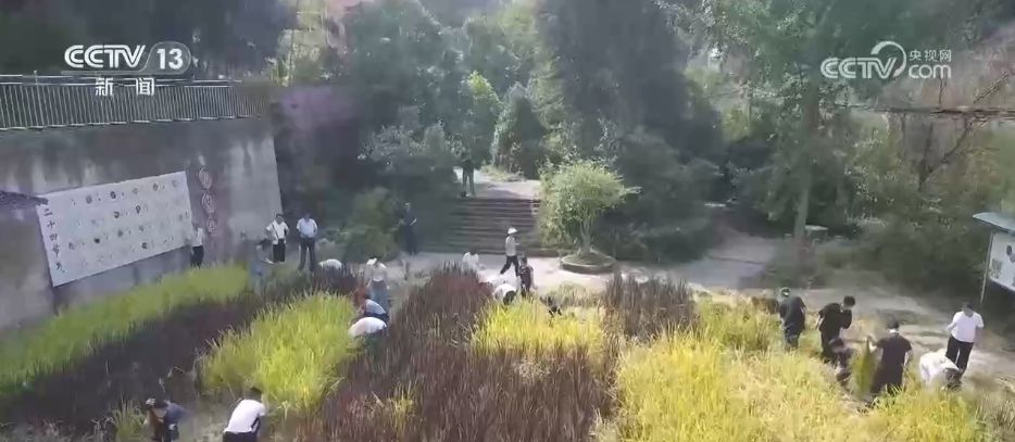 教师节快乐!对每一位老师道声辛苦,感谢您的培养之恩