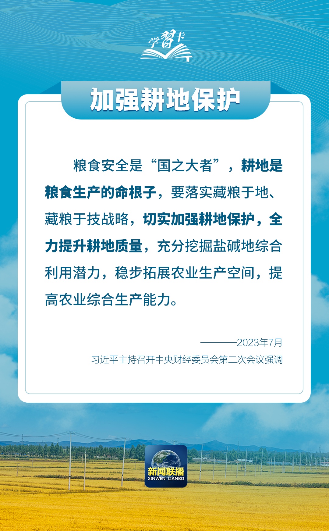 学习卡丨如何端稳端牢中国饭碗？总书记这样阐释