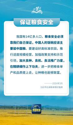 学习卡丨如何端稳端牢中国饭碗？总书记这样阐释